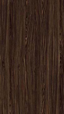 Guayana Gloss Guayana Gloss